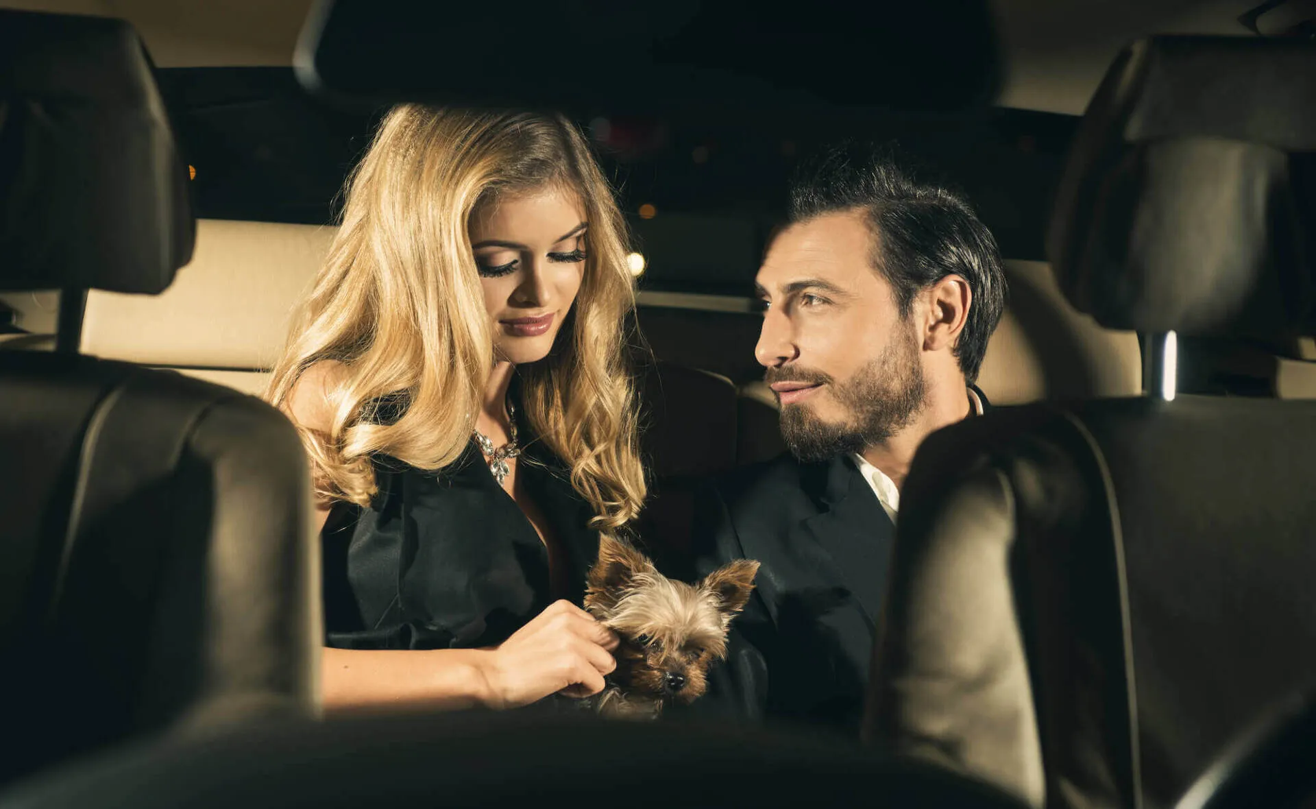 A woman and a man sitting in a car with a small dog on the woman's lap.